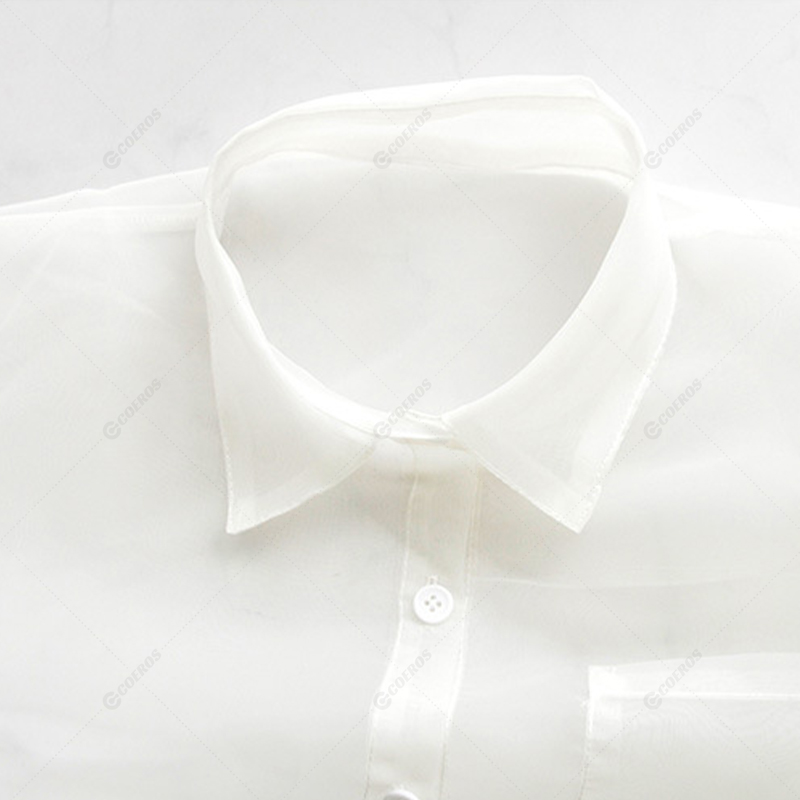 Picture of Sexy Transparent Shirt