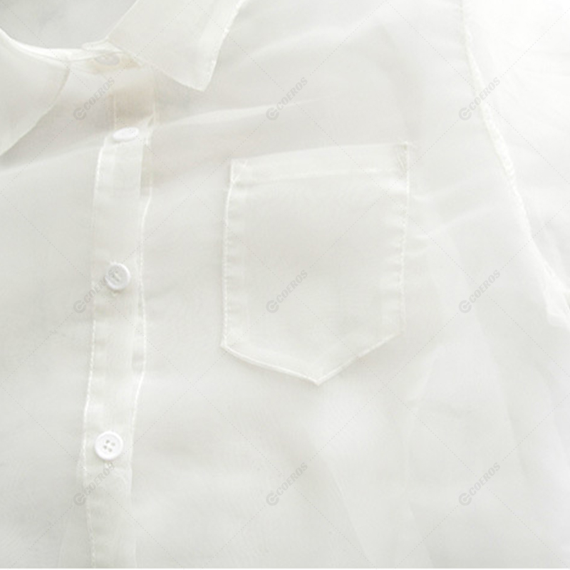 Picture of Sexy Transparent Shirt