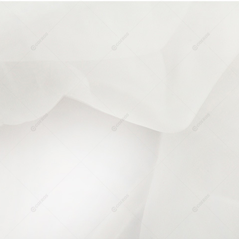 Picture of Sexy Transparent Shirt